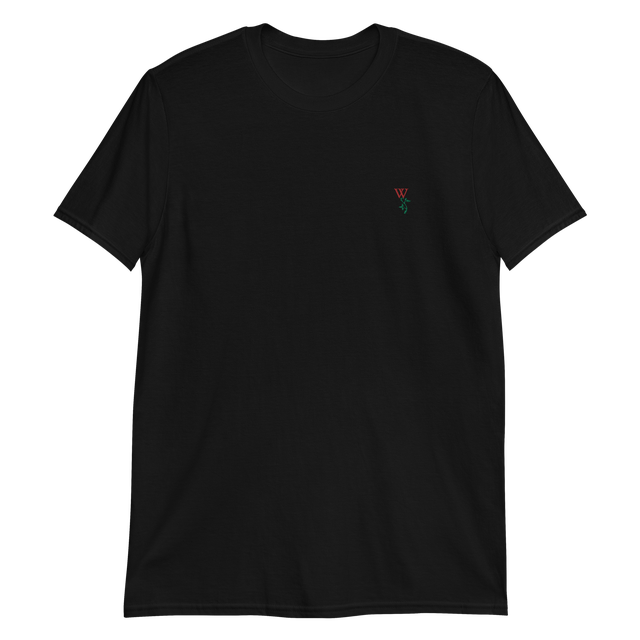 Embroidered logo t-shirt (black)